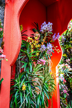 Red Doorway Arch