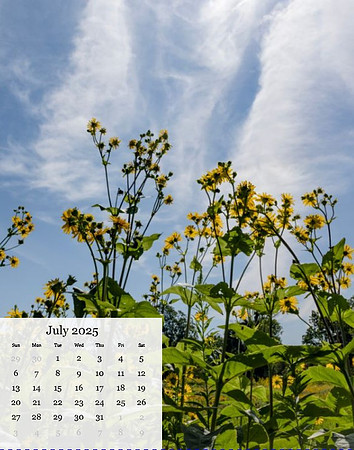 July