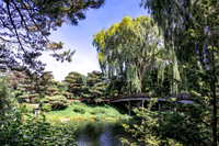 Weeping Willow Bridge