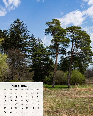 March
