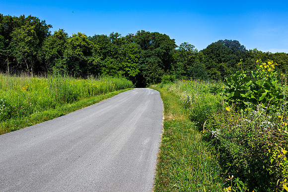 What's Up Ahead 8x10