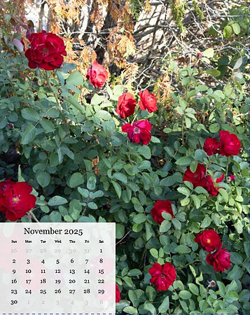Nov