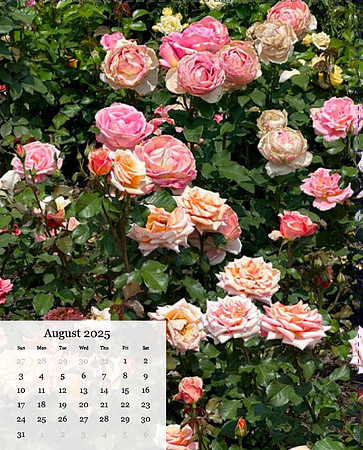 Aug