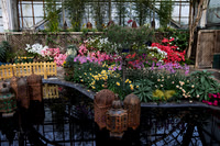 Main Show Room