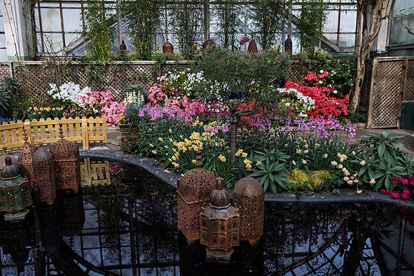Main Show Room