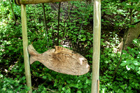 Anderson Gardens