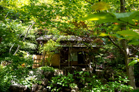 Little Hut