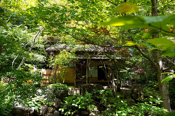 Little Hut