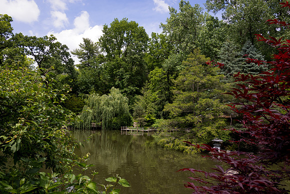 Landscape