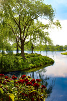 Chicago Botanic Gardens Pond View 1