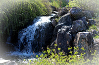 Chicago Botanic Garden Small Waterfall