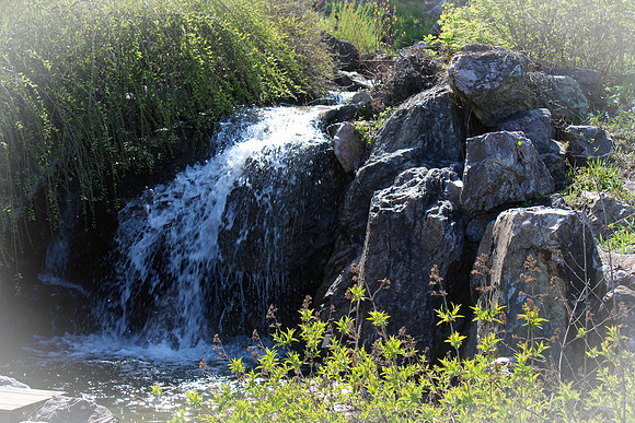 Chicago Botanic Garden Small Waterfall