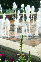 Chicago Botanic Garden Fountain