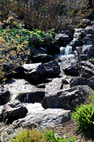 Chicago Botanic Garden Brook