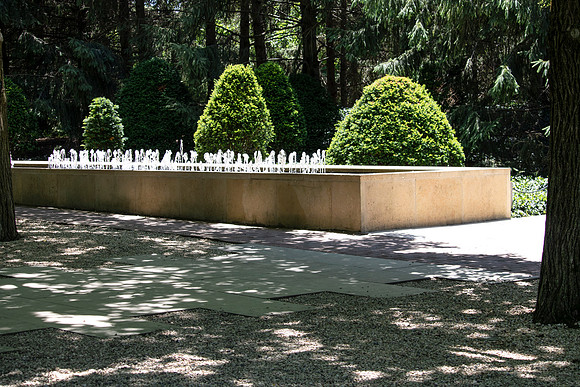 Fountain and Evergreens