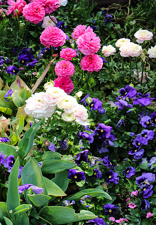 Chicago Botanic Garden Mixed Floral