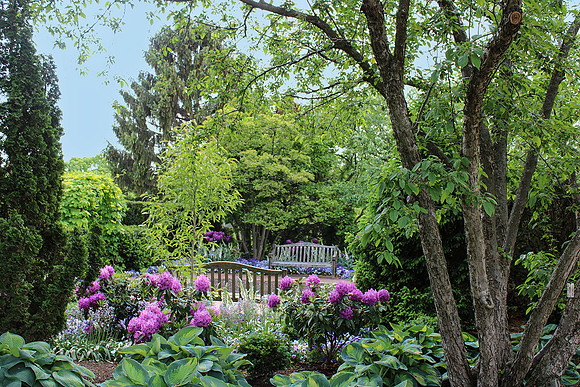 Chicago Botanic Garden Benches II
