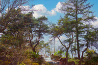 Chicago Botanic Garden Hill Waterfall