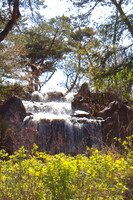 Chicago Botanic Garden Water IV