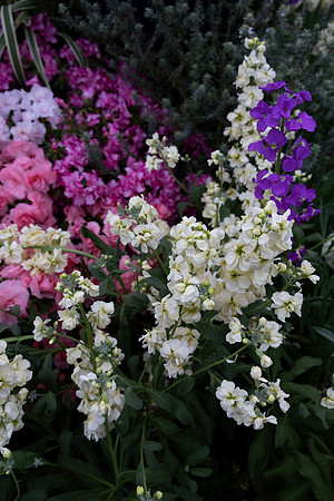 Florals Vertical