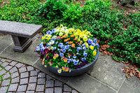 Planter on the Ground