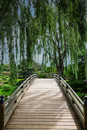 Bridge