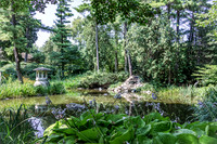Japanese Garden Pond Scene
