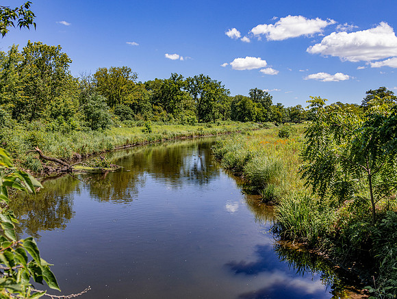 Dupage River Bend