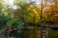 Creek 2