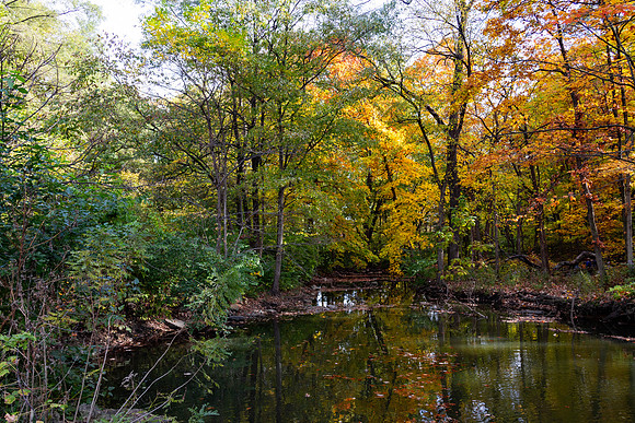 Creek 2