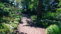 Wood Path2