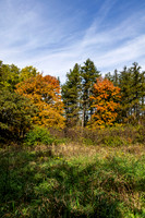 Tree Stand by Marmo
