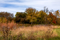 Bridge 2
