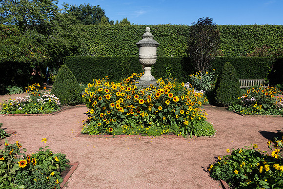 English Garden Urn with Sunflowers
