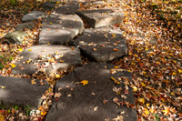 Stone Path