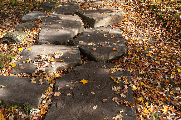 Stone Path