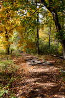Stone Path 2