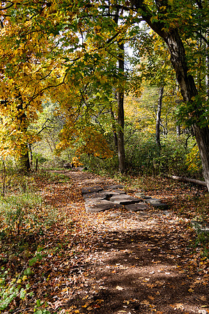 Stone Path 2