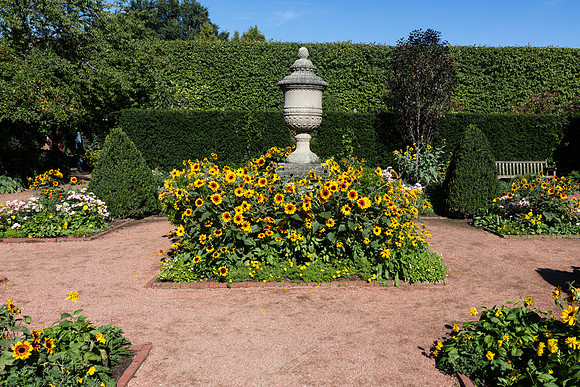 English Garden Urn with Sunflowers2