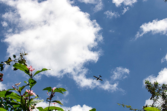 Airplane in the Sky 8x10  2