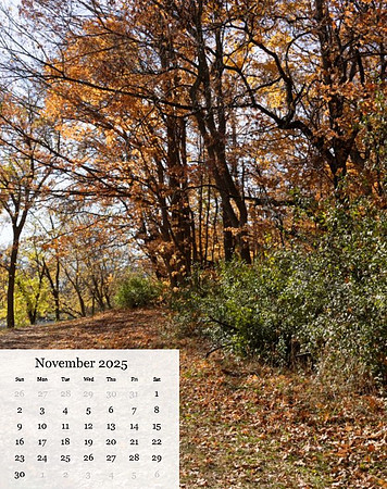 Nov