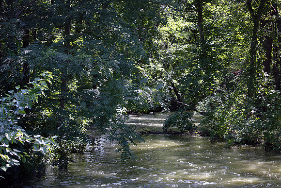 River Runs Through It