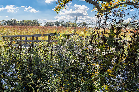 Bridge in the Prairie 2