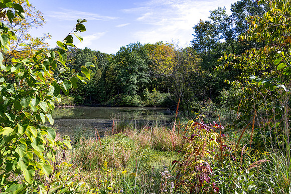 Sterling Pond