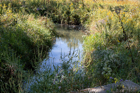 Stream 2
