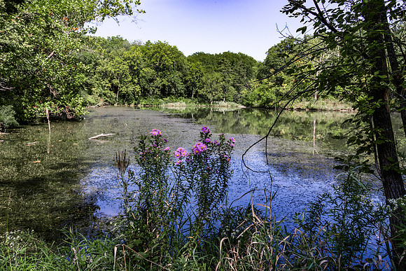 Sterling Pond 4
