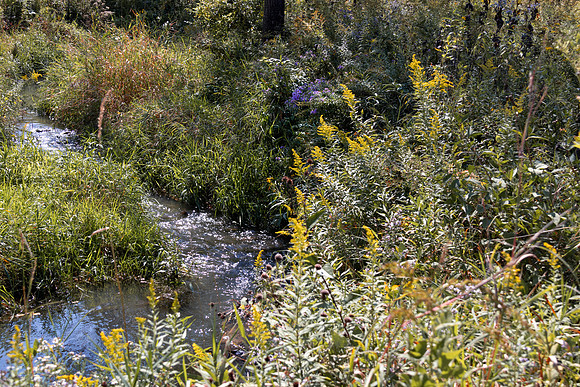 Stream 4