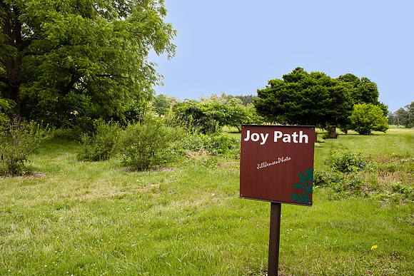 Morton Arboretum Joy Path w I