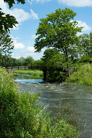 Morton Arboretum Bridge I