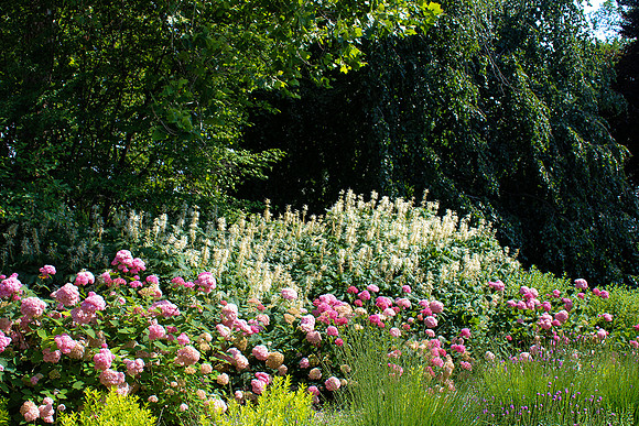 Flower Bed